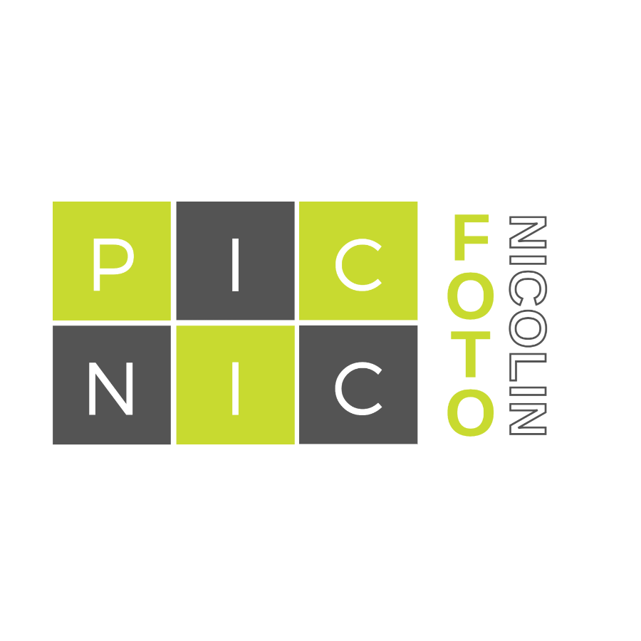 4x4 PICNIC Foto Logo